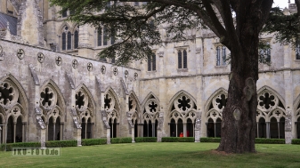 alte Bäume und alte Steine null