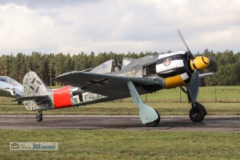 D-FWAA, Focke Wulf FW-190A null