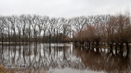 Der Fluss nimmt sich den Raum