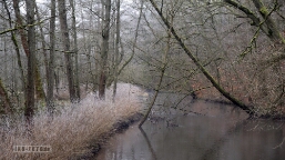 Winterwonderland Aufnahme aus Januar 2025